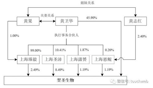 翌圣生物沖刺科創板 新冠業務占比近25%，募資11億加碼軟件開發與生命科技布局